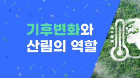 [기후변화와 산림의 역할] 기후변화의 기본개념과 영향